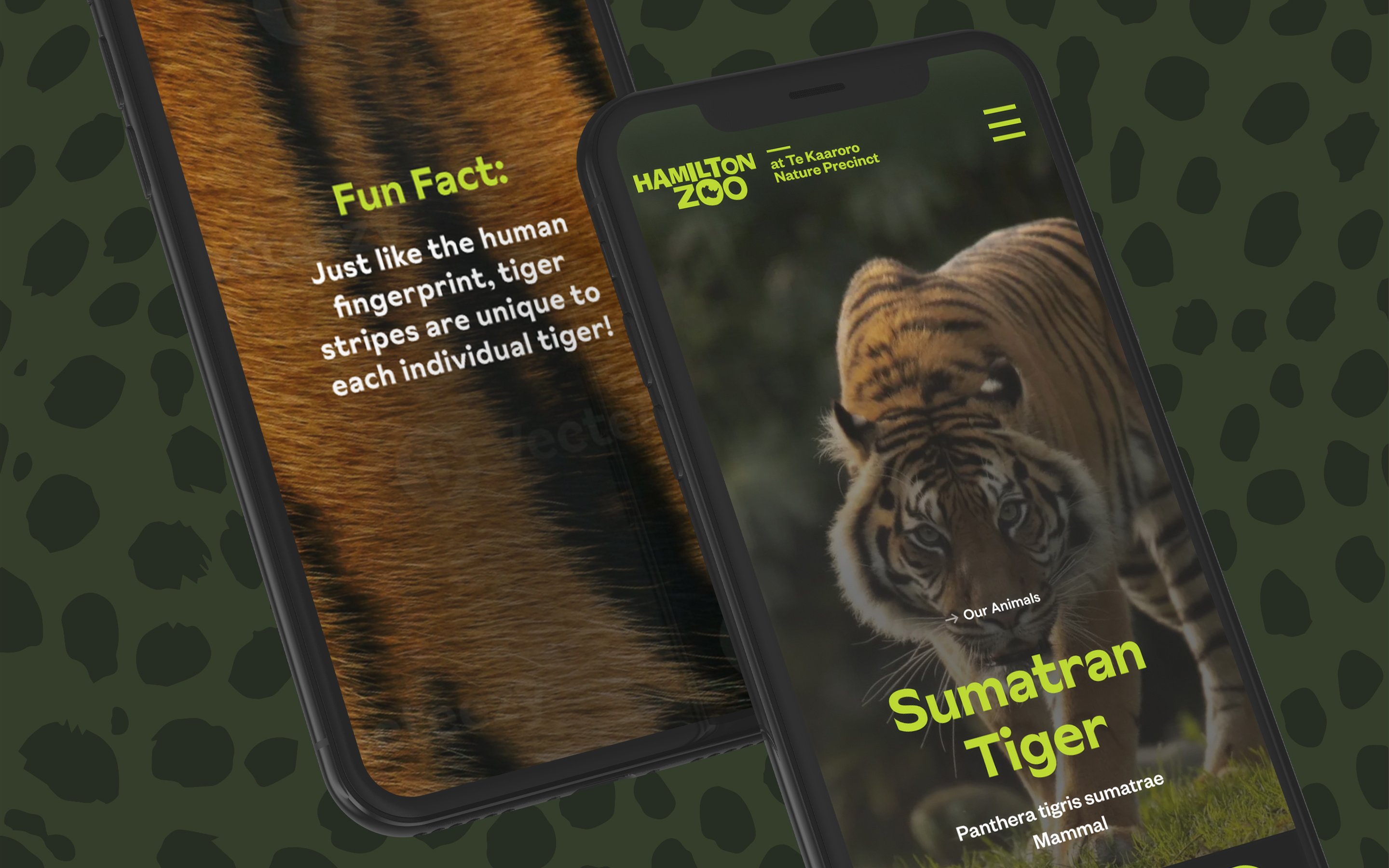 A screenshot of Hamilton Zoo's homepage displayed on a mobile phone.