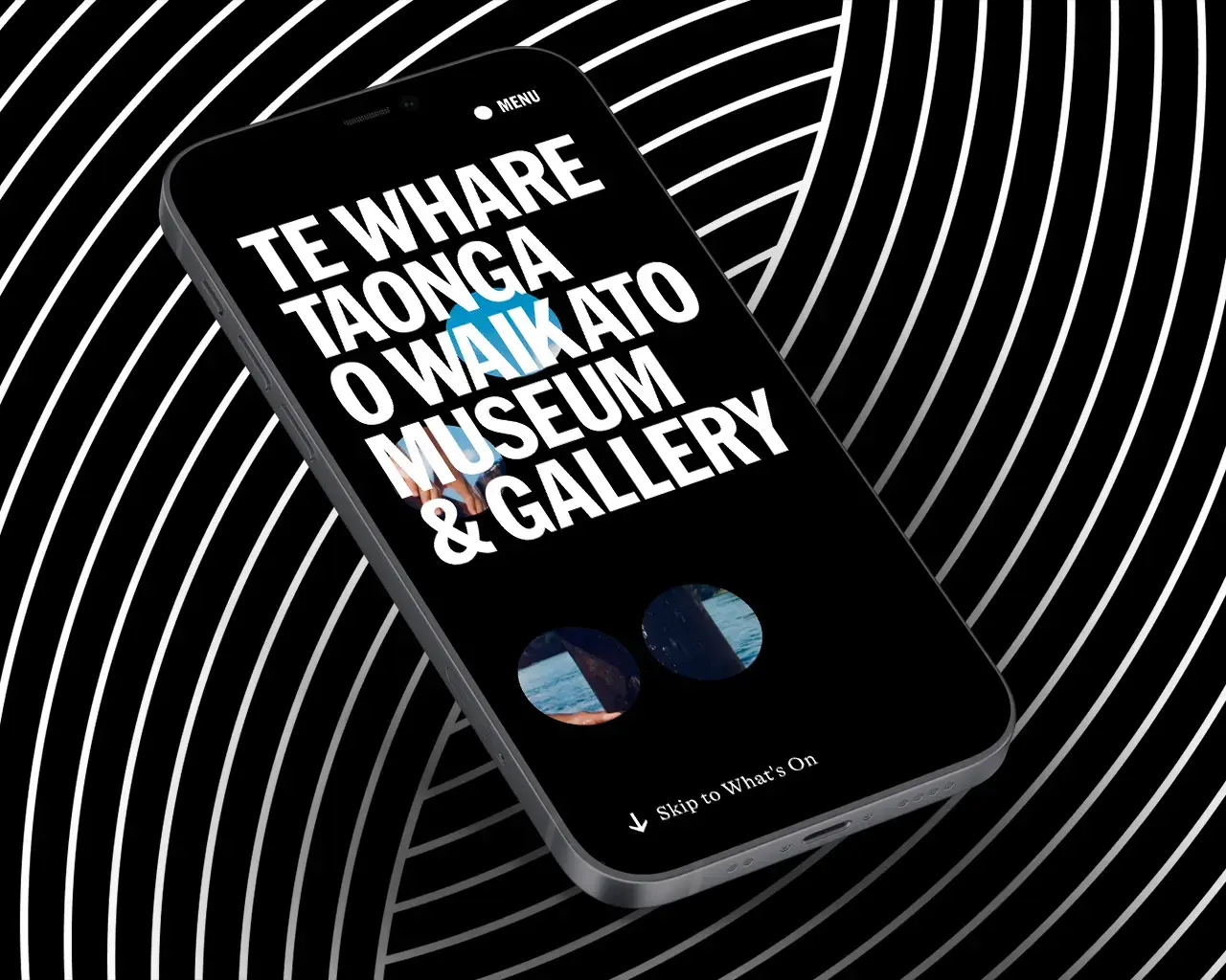 Web Design for Waikato Museum